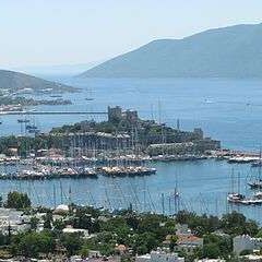 International tourism industry resisting economic woes