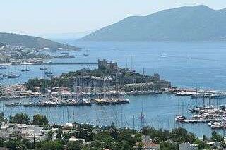 International tourism industry resisting economic woes