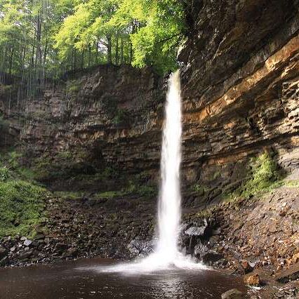 Hardraw Force