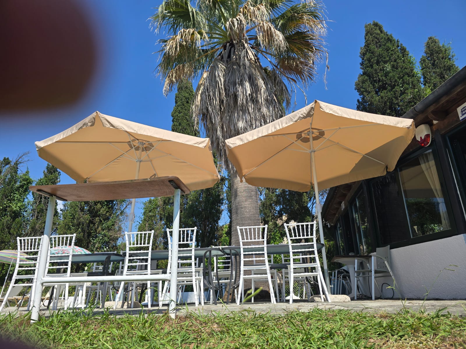 Apollo Umbrellas 1